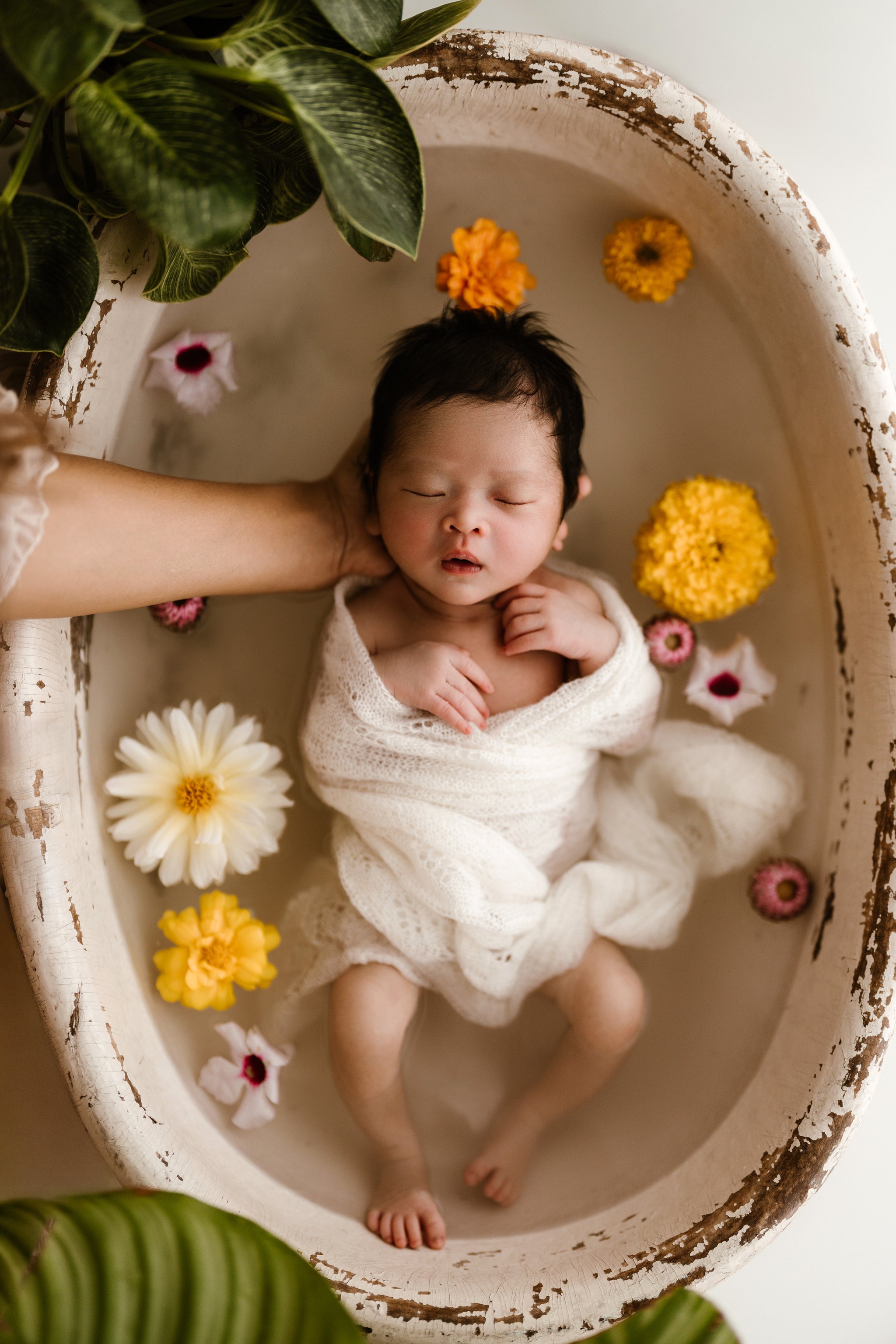 June Newborn Wrap