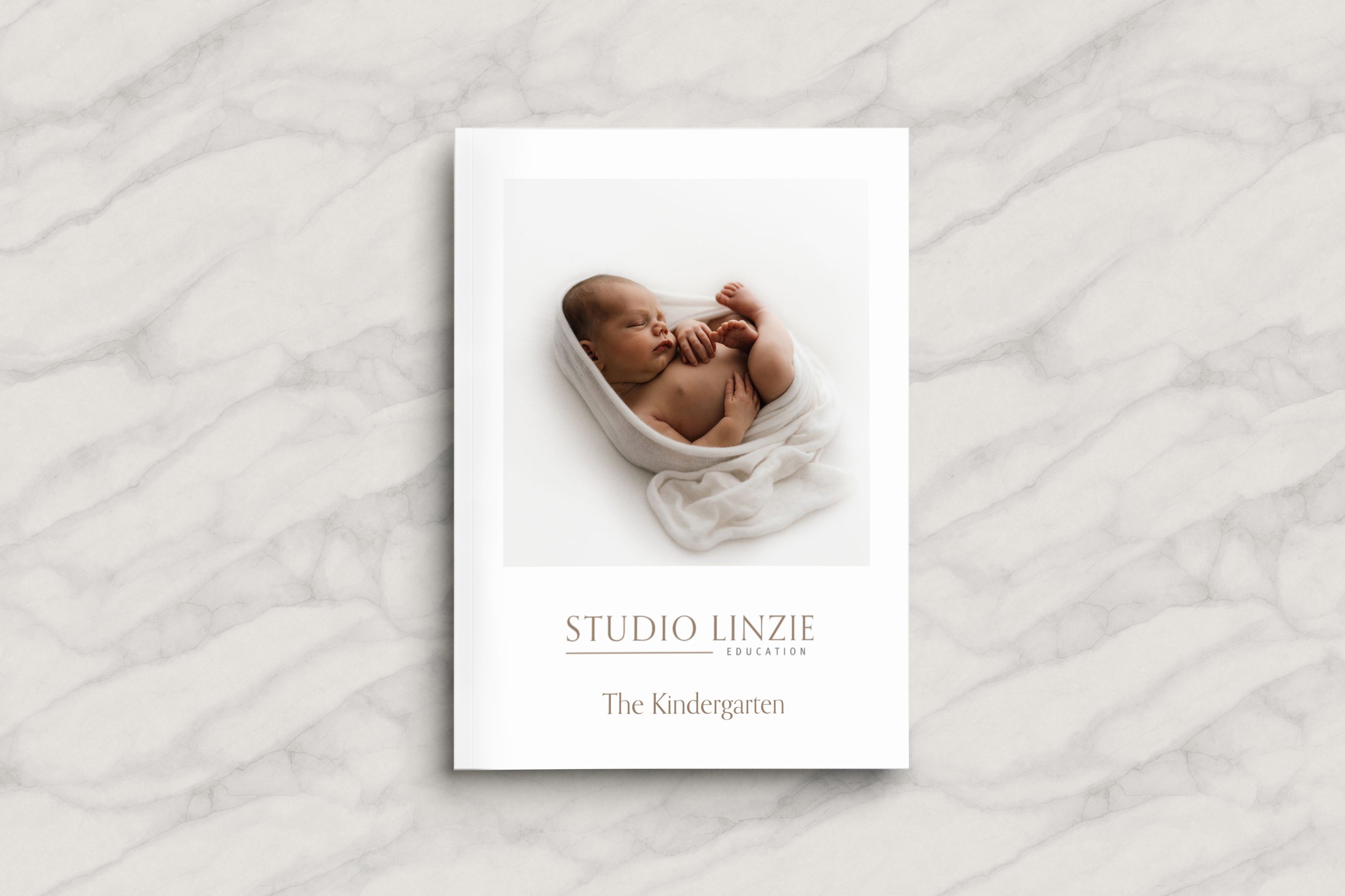 The Kindergarten Beginners Photography & Business Guidebook