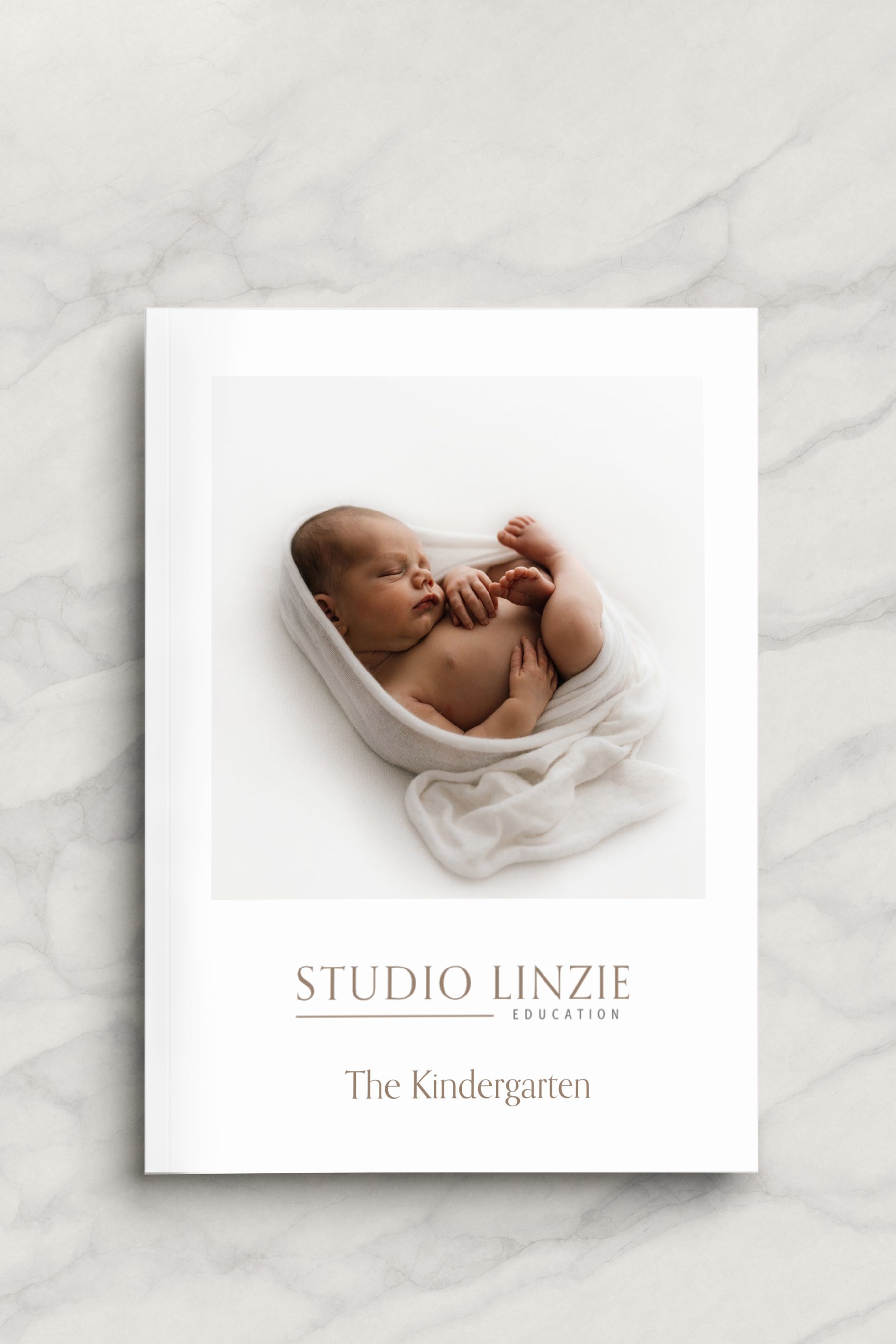 The Kindergarten Beginners Photography & Business Guidebook