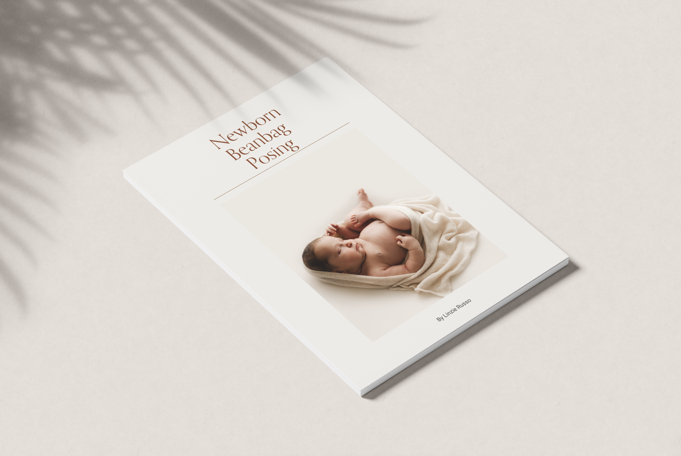 Newborn Beanbag Posing Guide