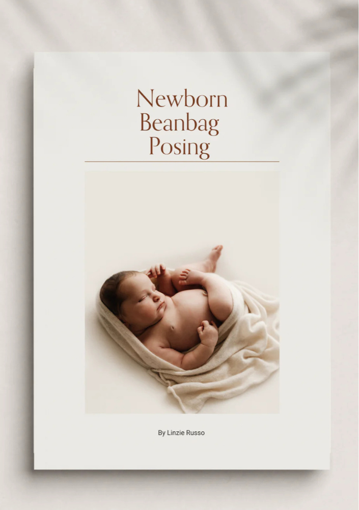 Newborn Beanbag Posing Guide